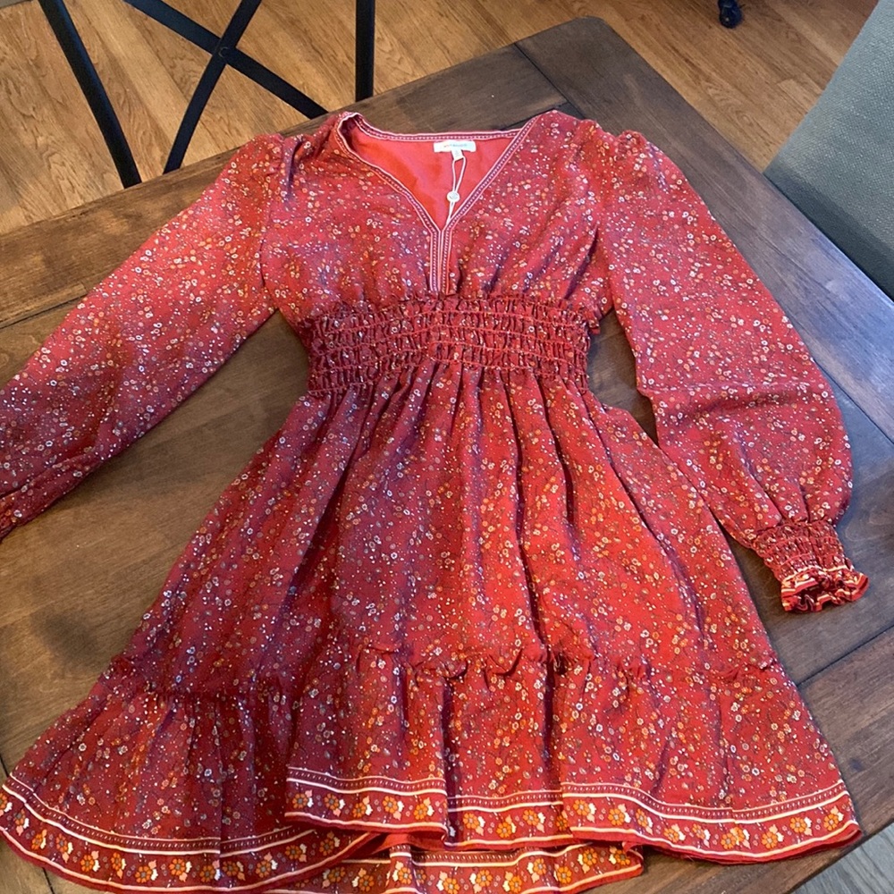 Max Studio Mini Dress- Long Sleeve- Size Small